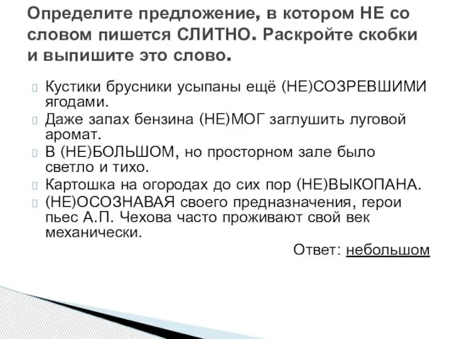 Кустики брусники усыпаны ещё (НЕ)СОЗРЕВШИМИ ягодами. Даже запах бензина (НЕ)МОГ заглушить