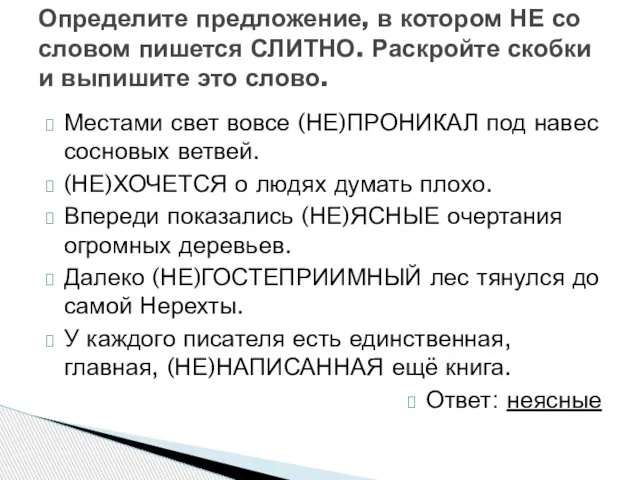 Местами свет вовсе (НЕ)ПРОНИКАЛ под навес сосновых ветвей. (НЕ)ХОЧЕТСЯ о людях