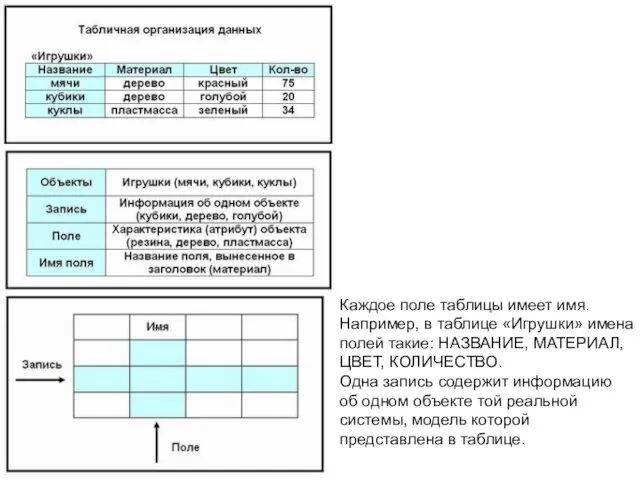 Каждое поле таблицы имеет имя. Например, в таблице «Игрушки» имена полей