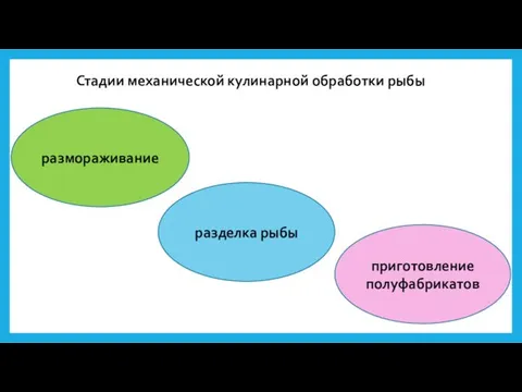 Стадии механической кулинарной обработки рыбы размораживание разделка рыбы приготовление полуфабрикатов