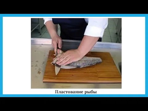 Пла­сто­ва­ние рыбы