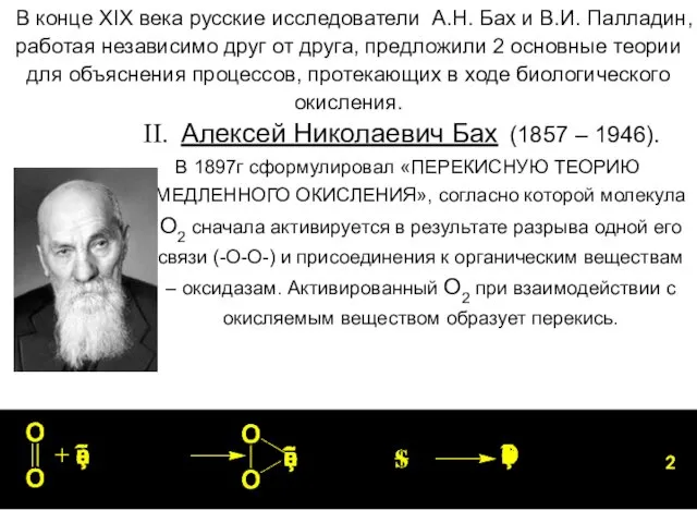 В конце XIX века русские исследователи А.Н. Бах и В.И. Палладин,