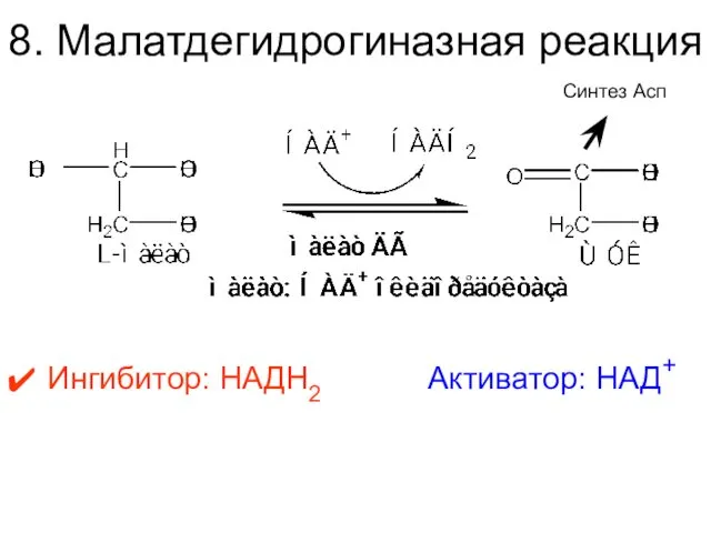 8. Малатдегидрогиназная реакция Ингибитор: НАДН2 Активатор: НАД+ Синтез Асп