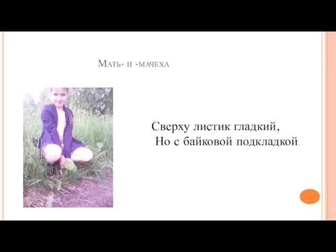 Мать- и -мачеха Сверху листик гладкий, Но с байковой подкладкой.