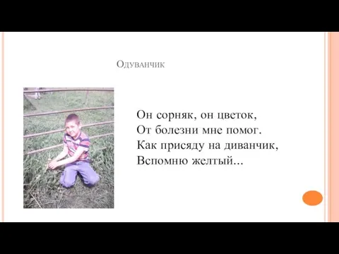 Одуванчик Он сорняк, он цветок, От болезни мне помог. Как присяду на диванчик, Вспомню желтый...