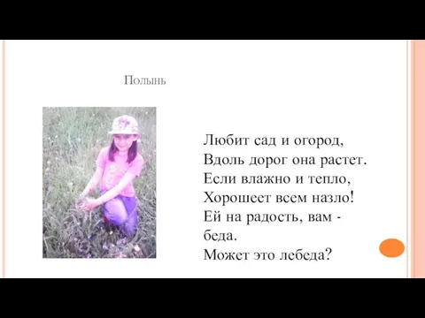 Полынь Любит сад и огород, Вдоль дорог она растет. Если влажно