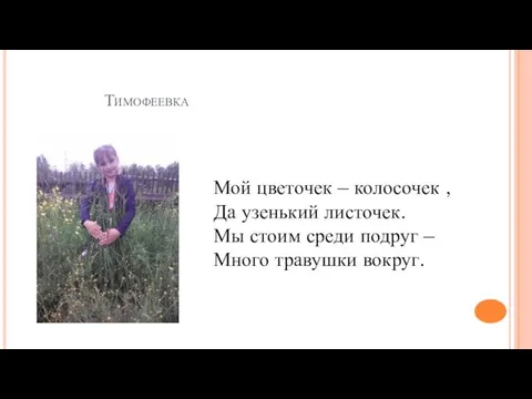 Тимофеевка Мой цветочек – колосочек , Да узенький листочек. Мы стоим