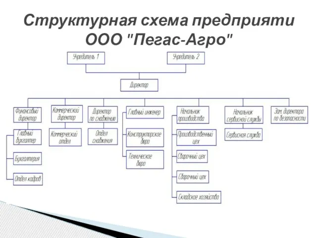 Структурная схема предприяти ООО "Пегас-Агро"