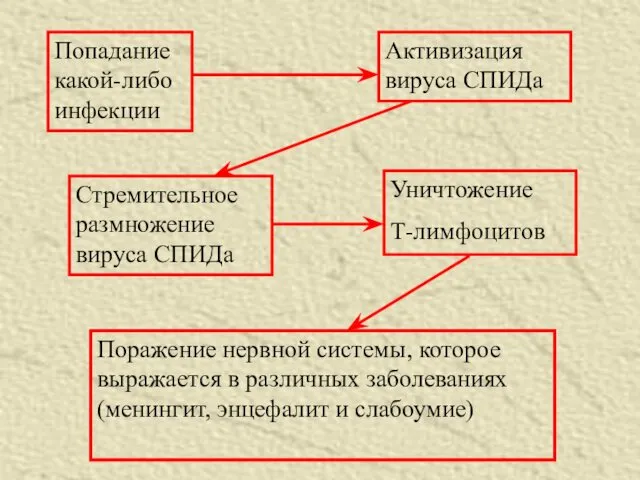 Попадание какой-либо инфекции Активизация вируса СПИДа Стремительное размножение вируса СПИДа Уничтожение