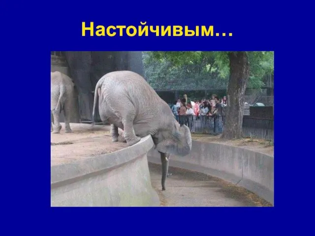 Настойчивым…