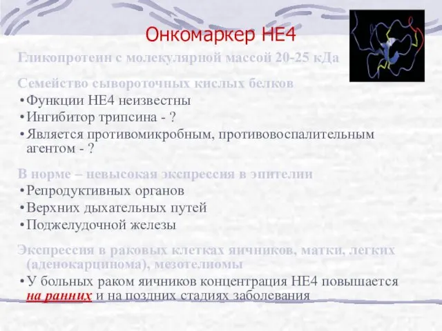 Онкомаркер HE4 Гликопротеин с молекулярной массой 20-25 кДа Семейство сывороточных кислых