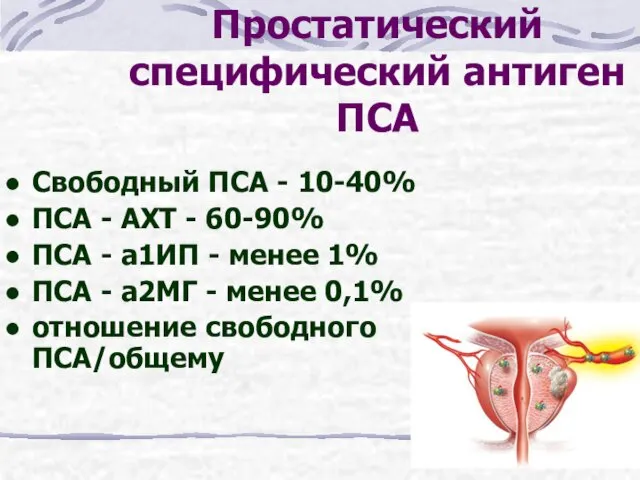 Простатический специфический антиген ПСА Свободный ПСА - 10-40% ПСА - АХТ