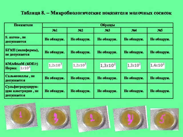 Таблица 8. – Микробиологические показатели молочных сосисок