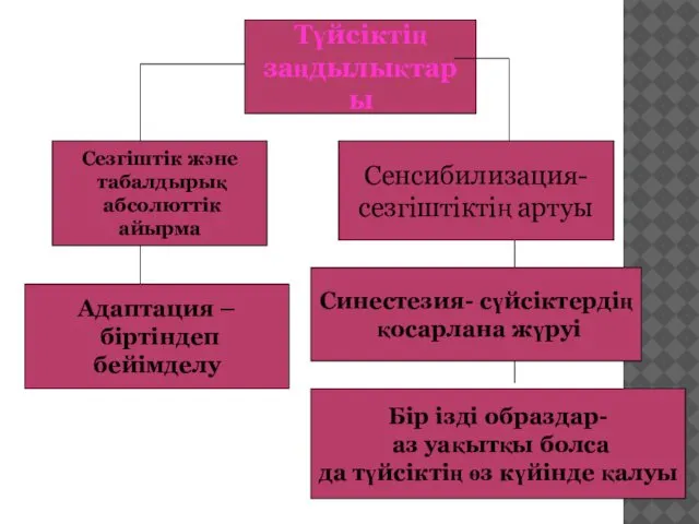 Түйсіктің заңдылықтары Сезгіштік және табалдырық абсолюттік айырма Адаптация – біртіндеп бейімделу