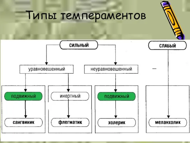 Типы темпераментов