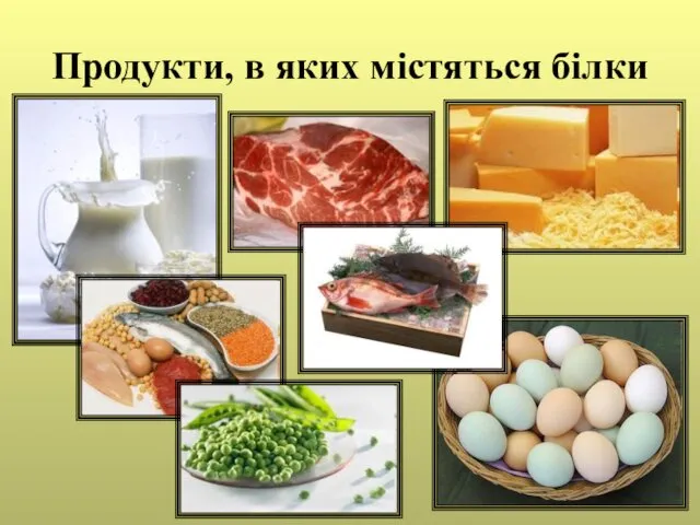 Продукти, в яких містяться білки