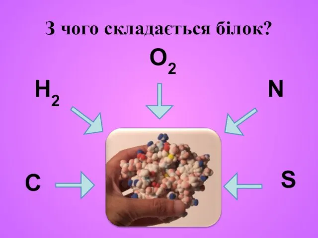 З чого складається білок? C H2 O2 N S