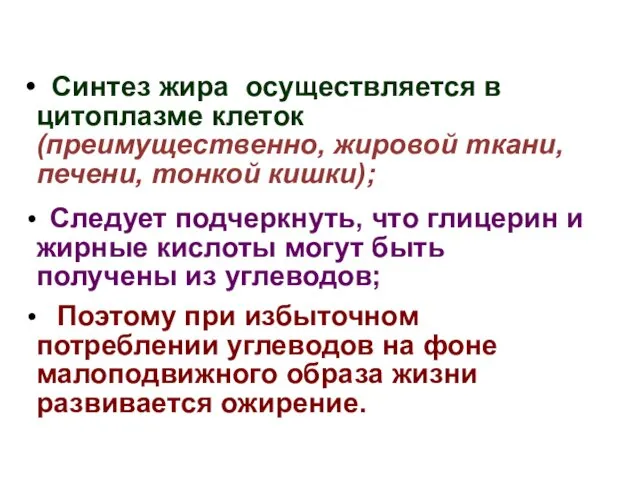 Синтез жира осуществляется в цитоплазме клеток (преимущественно, жировой ткани, печени, тонкой