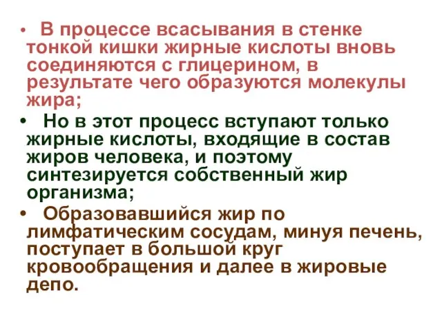 В процессе всасывания в стенке тонкой кишки жирные кислоты вновь соединяются