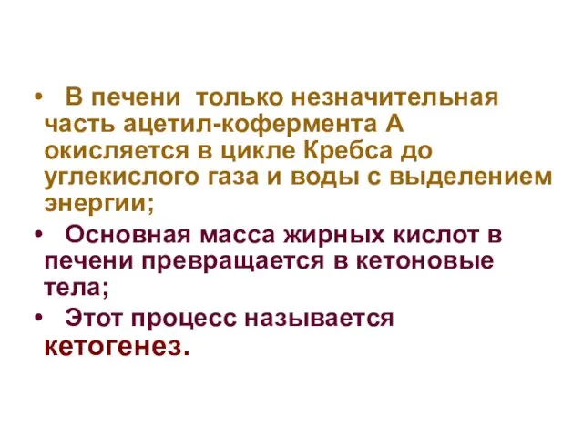 В печени только незначительная часть ацетил-кофермента А окисляется в цикле Кребса