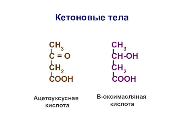 Кетоновые тела СН3 СН3 С = О СН-ОН СН2 СН2 СООН СООН Ацетоуксусная кислота Β-оксимасляная кислота