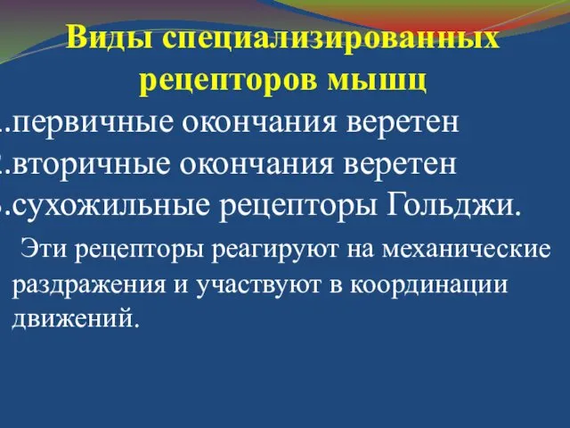 Виды специализированных рецепторов мышц первичные окончания веретен вторичные окончания веретен сухожильные