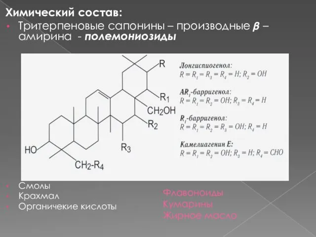 Флавоноиды Кумарины Жирное масло Химический состав: Тритерпеновые сапонины – производные ?