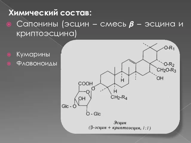 Химический состав: Сапонины (эсцин – смесь ? – эсцина и криптоэсцина) Кумарины Флавоноиды