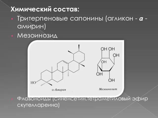 Химический состав: Тритерпеновые сапонины (агликон - ? - амирин) Мезоинозид Флавоноиды (синенсетин,тетраметиловый эфир скутеллареина)