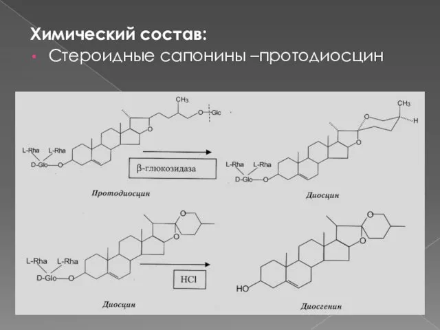 Химический состав: Стероидные сапонины –протодиосцин Флавоноиды Алкалоиды