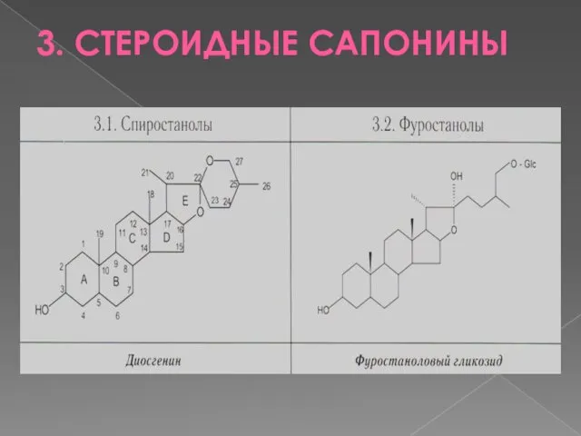 3. СТЕРОИДНЫЕ САПОНИНЫ