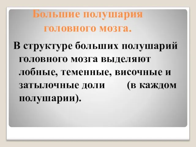 Большие полушария головного мозга. В структуре больших полушарий головного мозга выделяют