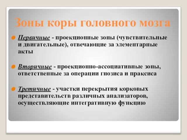 Зоны коры головного мозга Первичные - проекционные зоны (чувствительные и двигательные),