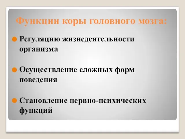 Функции коры головного мозга: Регуляцию жизнедеятельности организма Осуществление сложных форм поведения Становление нервно-психических функций