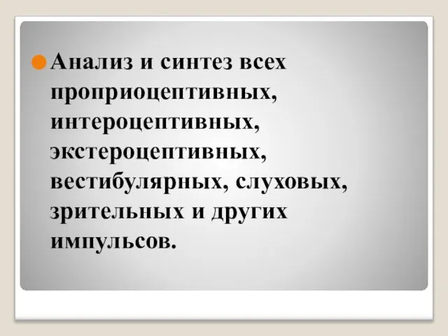 Анализ и синтез всех проприоцептивных, интероцептивных, экстероцептивных, вестибулярных, слуховых, зрительных и других импульсов.