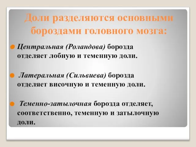 Доли разделяются основными бороздами головного мозга: Центральная (Роландова) борозда отделяет лобную