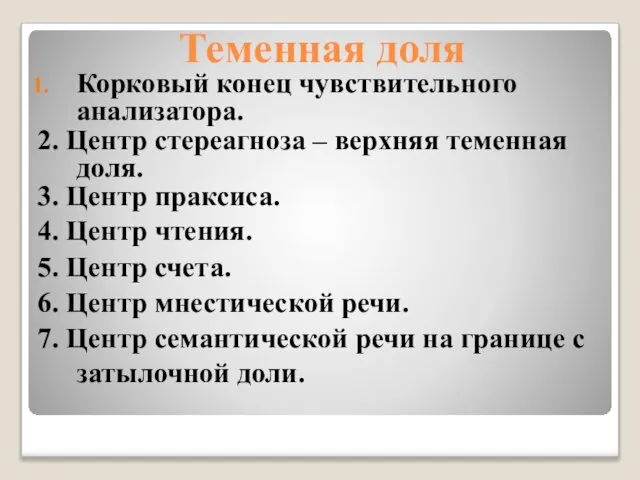 Теменная доля Корковый конец чувствительного анализатора. 2. Центр стереагноза – верхняя