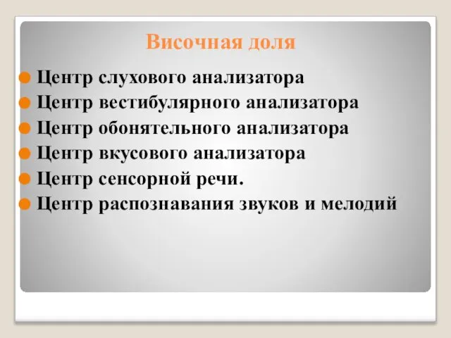 Височная доля Центр слухового анализатора Центр вестибулярного анализатора Центр обонятельного анализатора