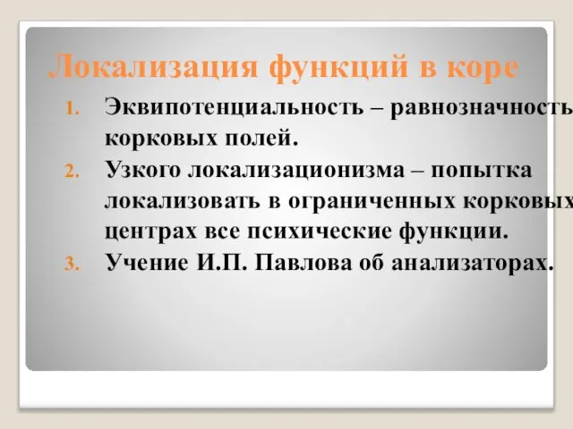 Локализация функций в коре Эквипотенциальность – равнозначность корковых полей. Узкого локализационизма