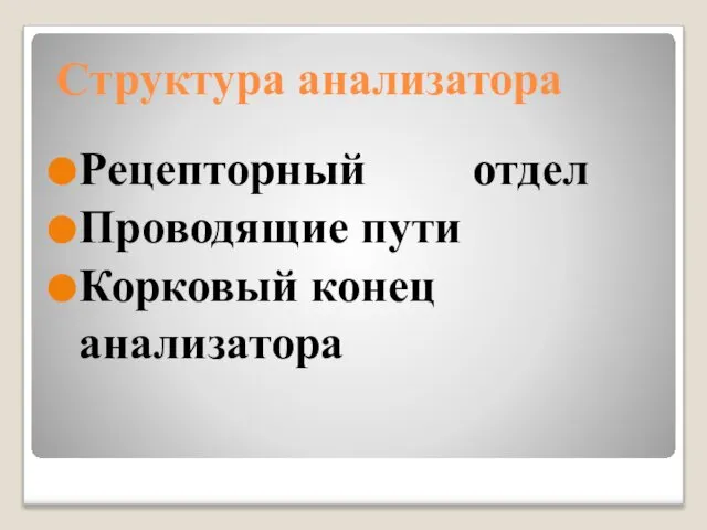 Структура анализатора Рецепторный отдел Проводящие пути Корковый конец анализатора