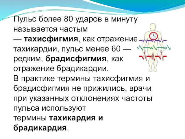 Пульс более 80 ударов в минуту называется частым — тахисфигмия, как