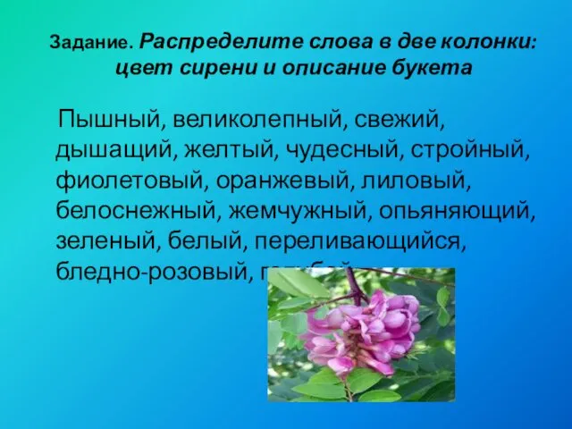 Задание. Распределите слова в две колонки: цвет сирени и описание букета