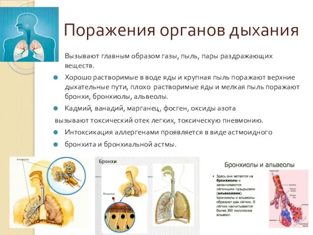 Поражения органов дыхания Вызывают главным образом газы, пыль, пары раздражающих веществ.