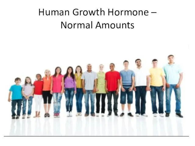 Human Growth Hormone – Normal Amounts