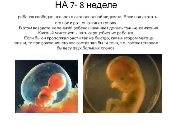 НА 7- 8 неделе ребенок свободно плавает в околоплодной жидкости. Если