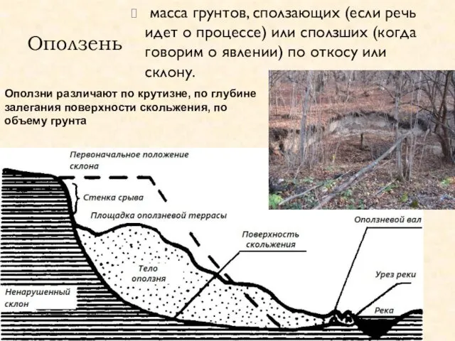 Оползень масса грунтов, сползающих (если речь идет о процессе) или сползших