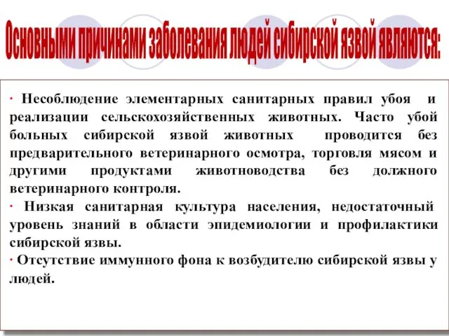 ∙ Несоблюдение элементарных санитарных правил убоя и реализации сельскохозяйственных животных. Часто