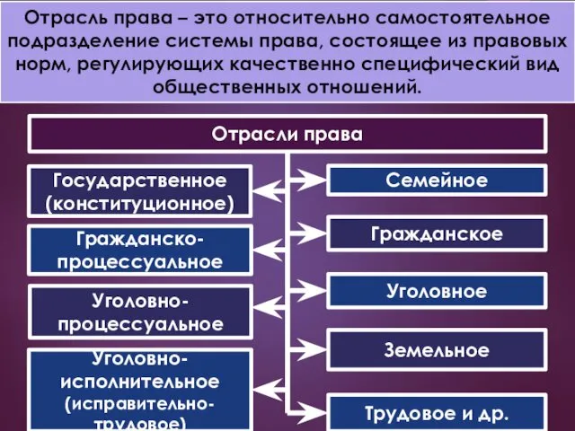 Отрасль права – это относительно самостоятельное подразделение системы права, состоящее из