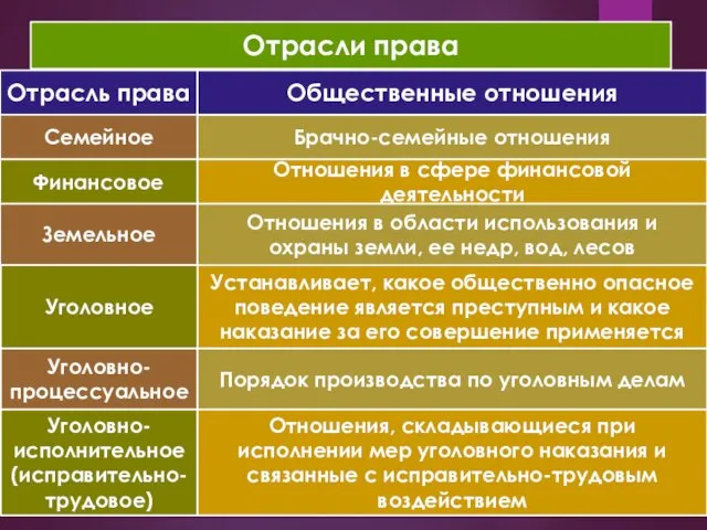 Отрасли права Отрасль права Общественные отношения Семейное Брачно-семейные отношения Финансовое Земельное