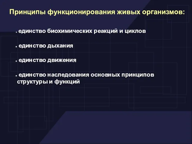 Принципы функционирования живых организмов: единство биохимических реакций и циклов единство дыхания